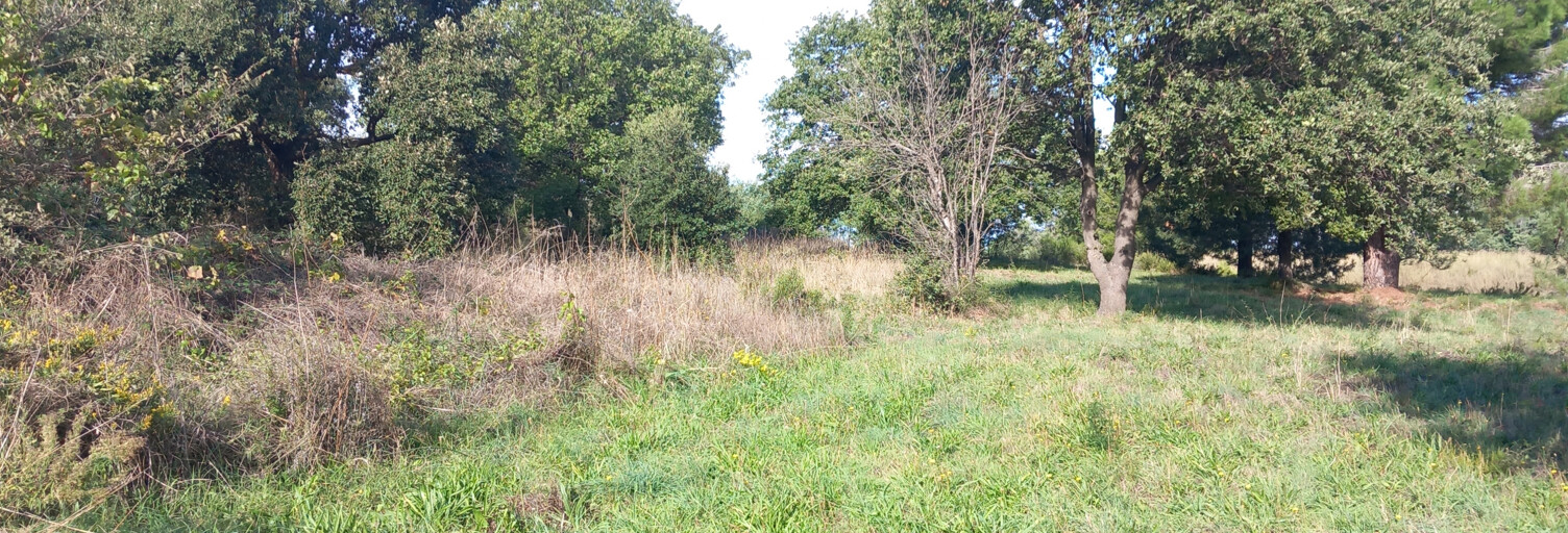 Terrain  2200 m² à vendre à Argelès-sur-Mer (66700)