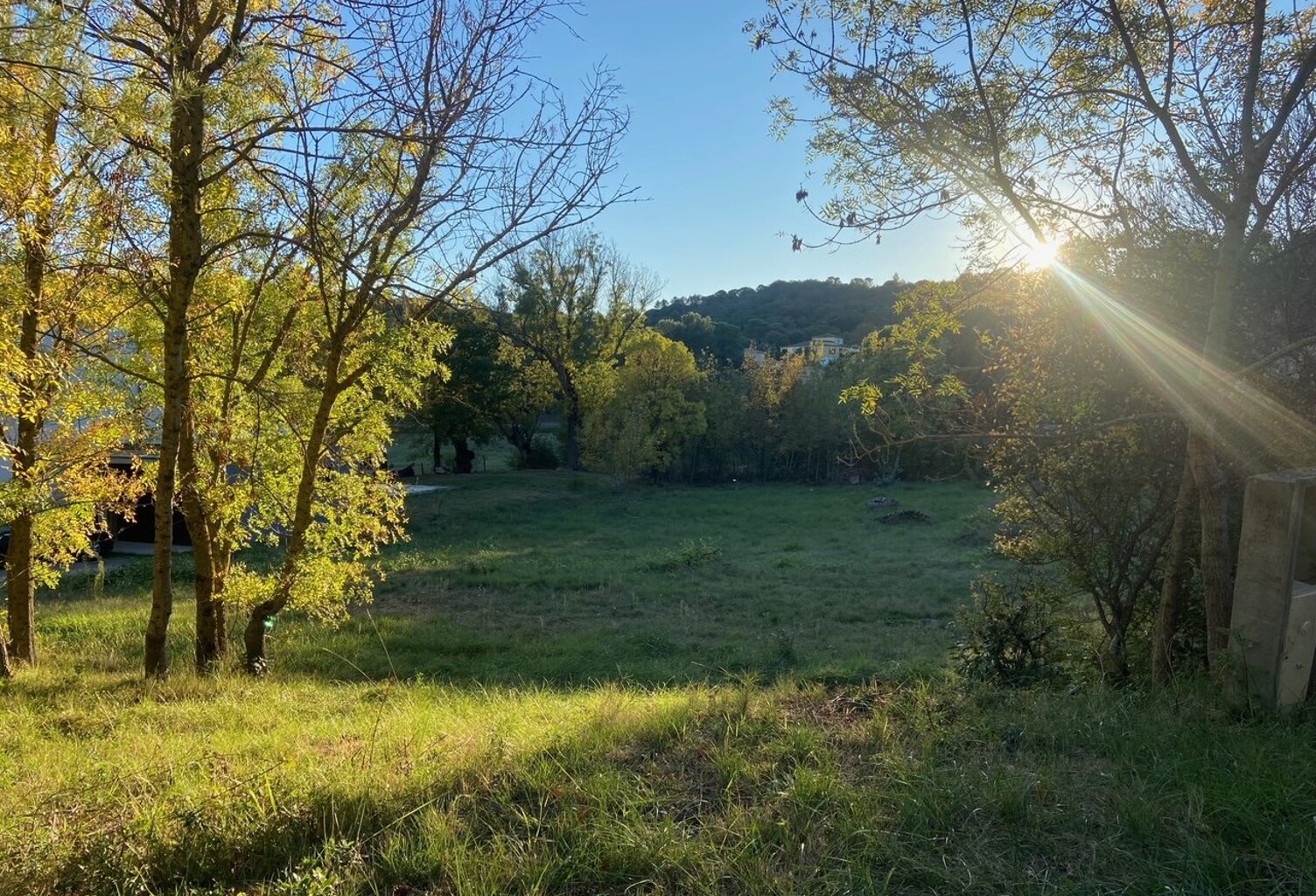Terrain — photo 1