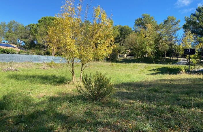 Terrain — photo 2