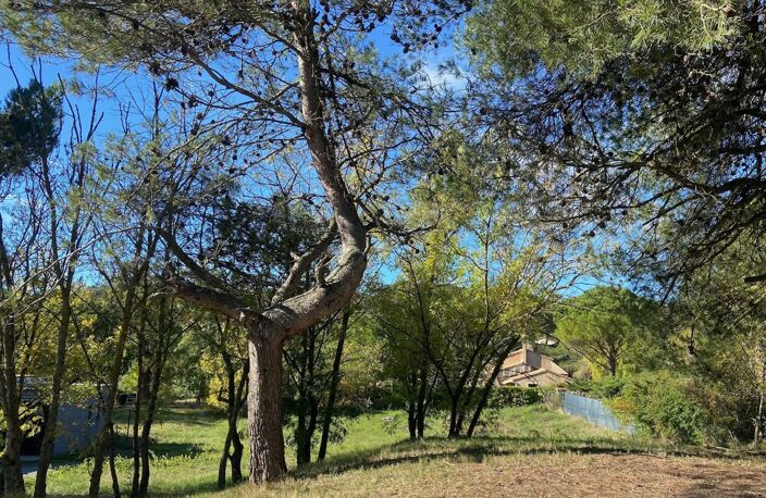 Terrain — photo 4