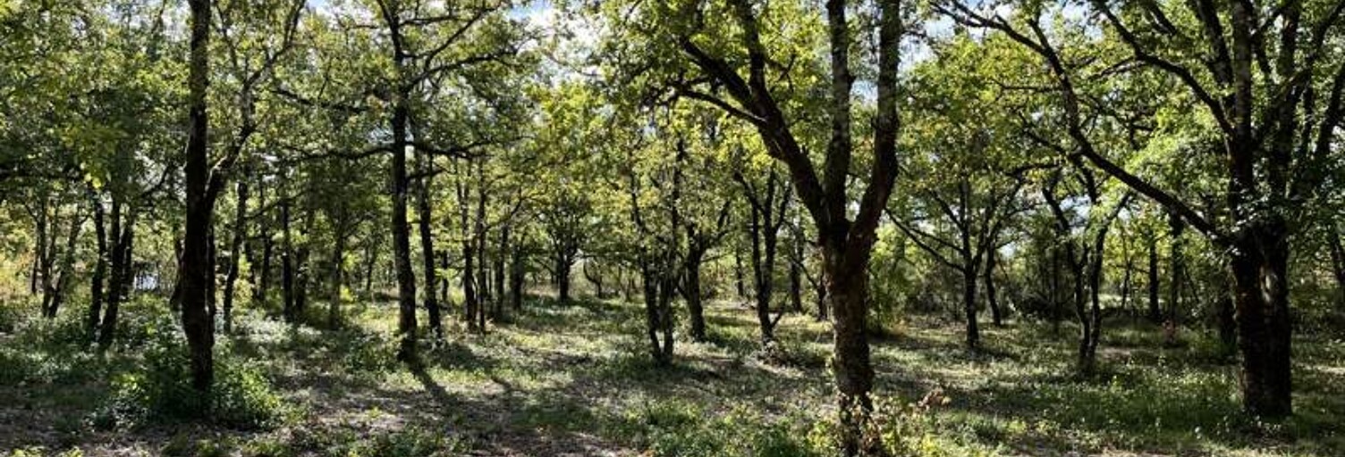 Terrain  1069 m² à vendre à Lalbenque (46230)