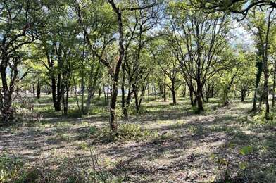 Terrain  56000 €