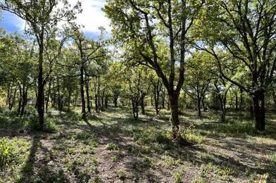 Terrain  56000 €