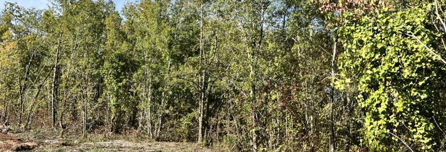 Terrain  1318 m² à vendre à Lalbenque (46230)