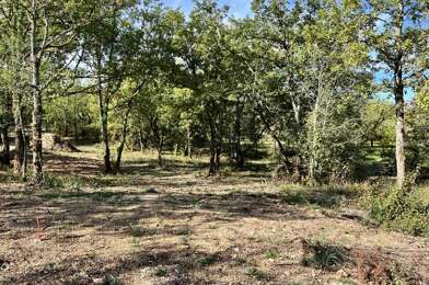 Terrain  61600 €