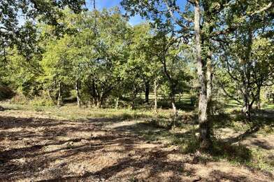Terrain  66780 €
