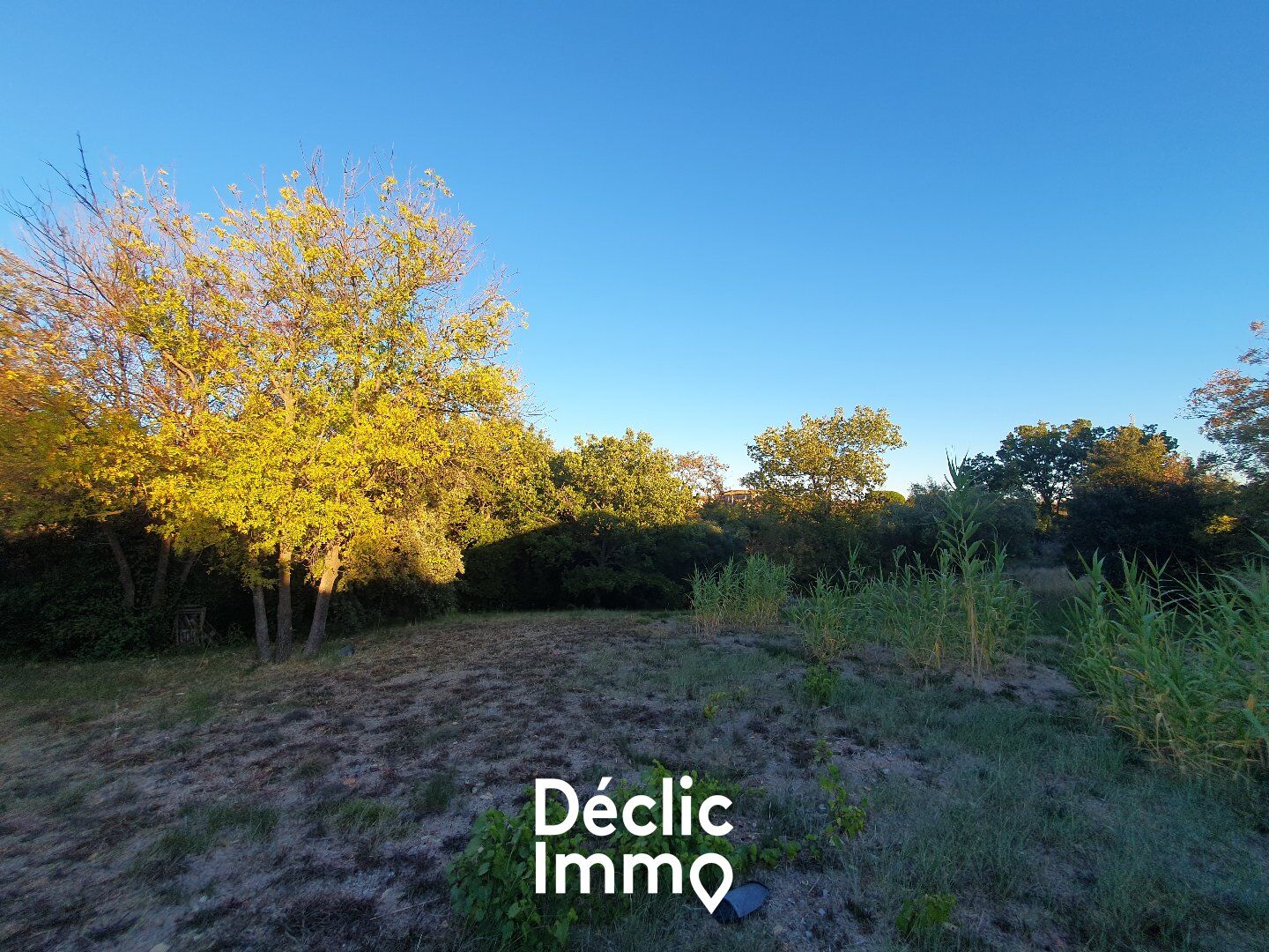 Terrain  à vendre Neffiès 34320