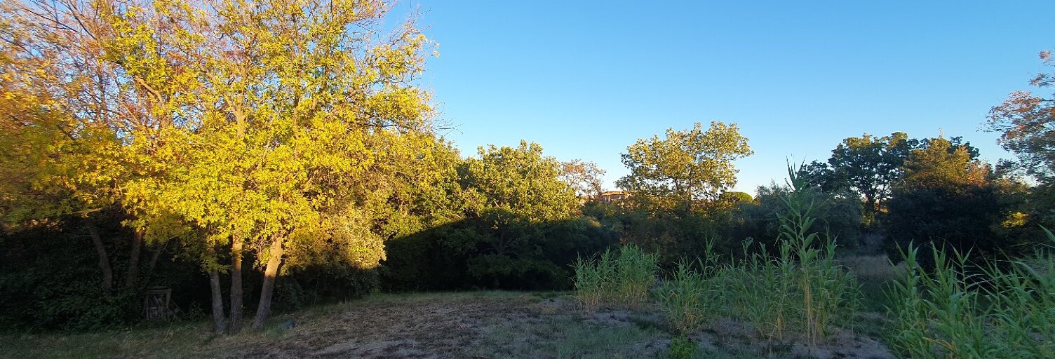 Terrain  1390 m² à vendre à Neffiès (34320)