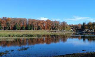 Terrain  73858 m² à vendre à Leval (90110)