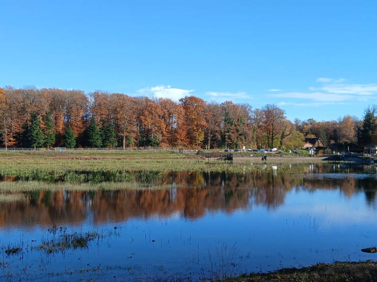 ÉTANG AVEC UN TERRAIN DE LOISIR D'UNE SUPERFICIE TOTALE DE 7 — photo 1