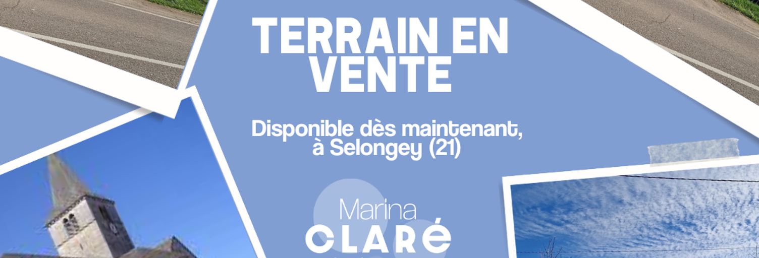 Terrain  7567 m² à vendre à Selongey (21260)