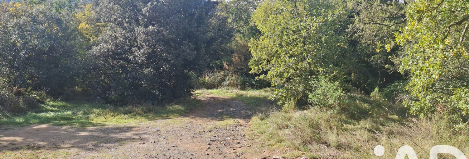 Terrain  5345 m² à vendre à Montesquieu-des-Albères (66740)