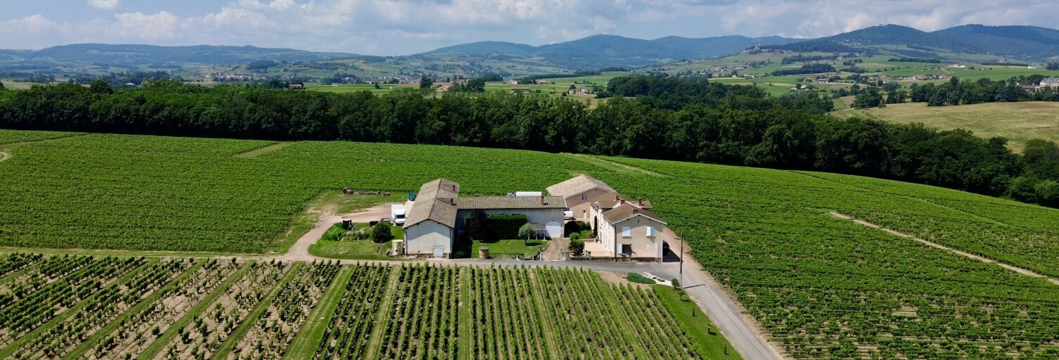 Maison 8 Pièces 200 m² à vendre à Arnas (69400)