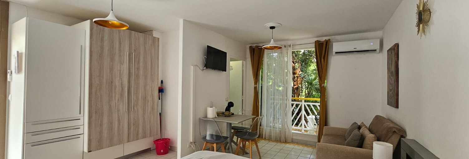 Appartement 1 Pièce 25 m² à vendre à Saint-François (97118)