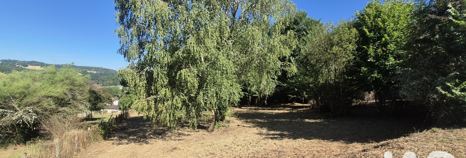 Terrain  6000 m² à vendre à Saint-Léonard-de-Noblat (87400)