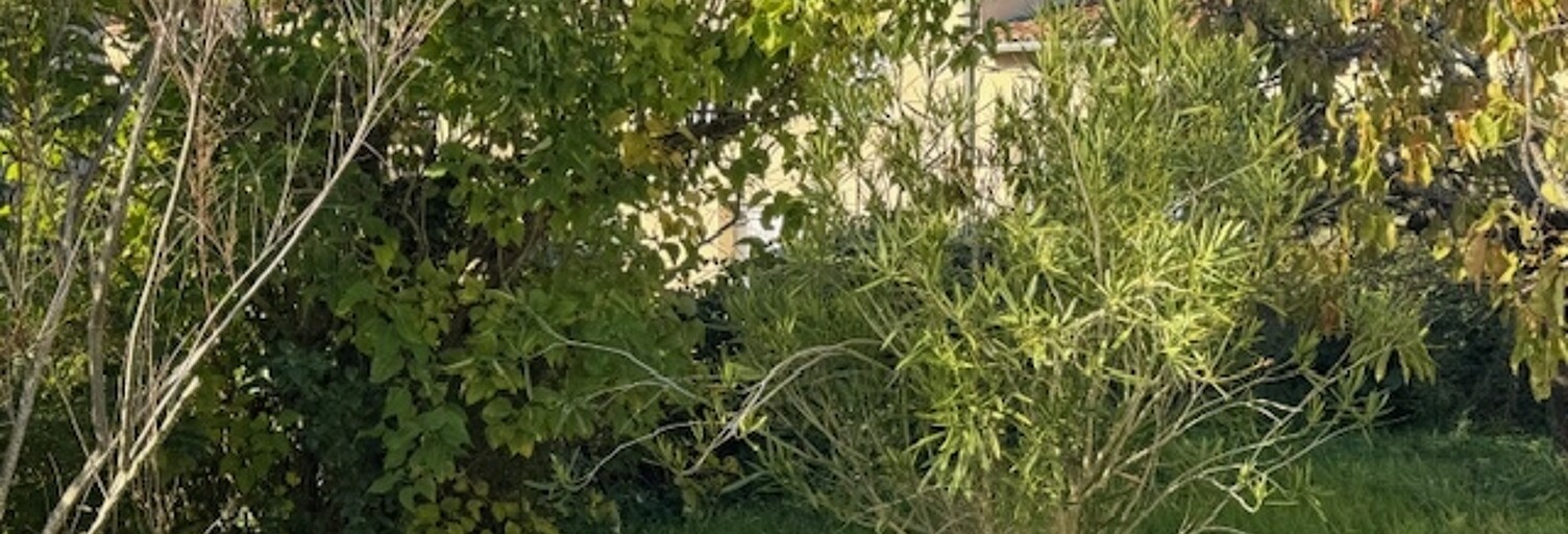 Maison 4 Pièces 78 m² à vendre à Lafrançaise (82130)