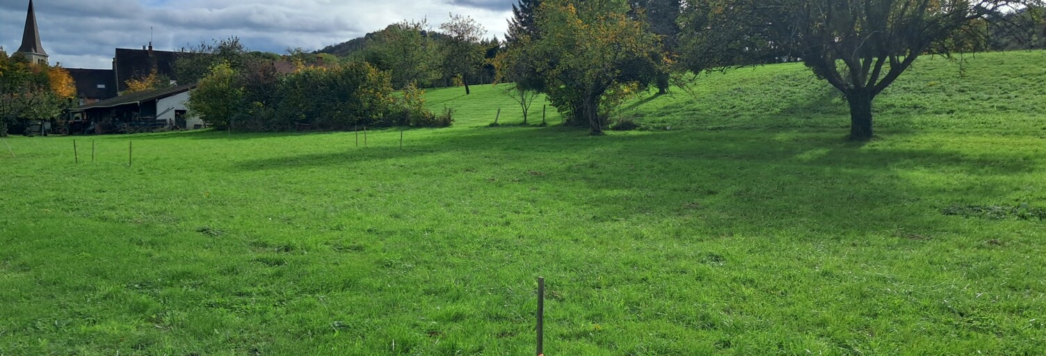 Terrain  426 m² à vendre à Courbouzon (39570)