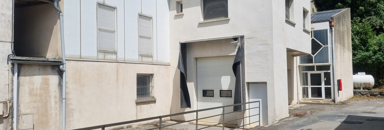 Appartement 17 Pièces 900 m² à vendre à Lacaune (81230)