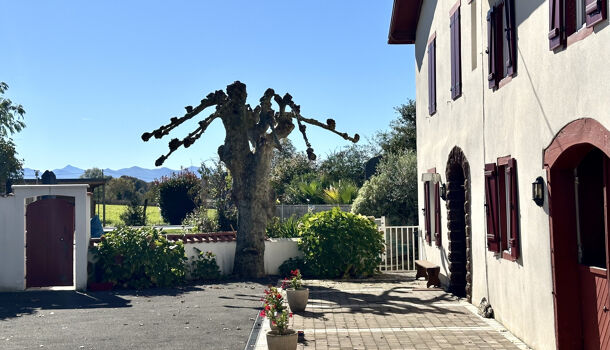 Propri&eacute;t&eacute; 15 pièces  à vendre Saint-Palais 64120