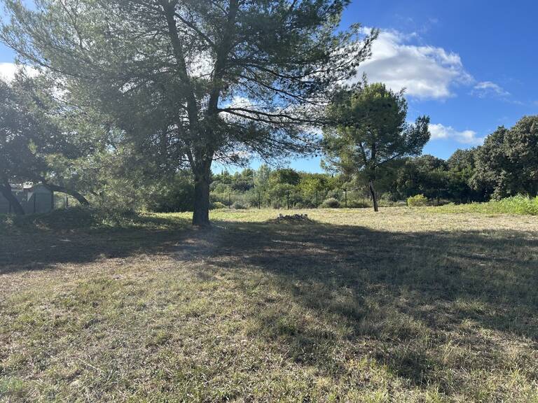 Terrain — photo 1