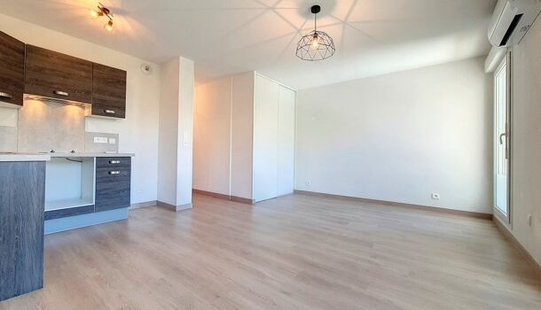 Appartement 1 pièces  à louer Ajaccio 20090