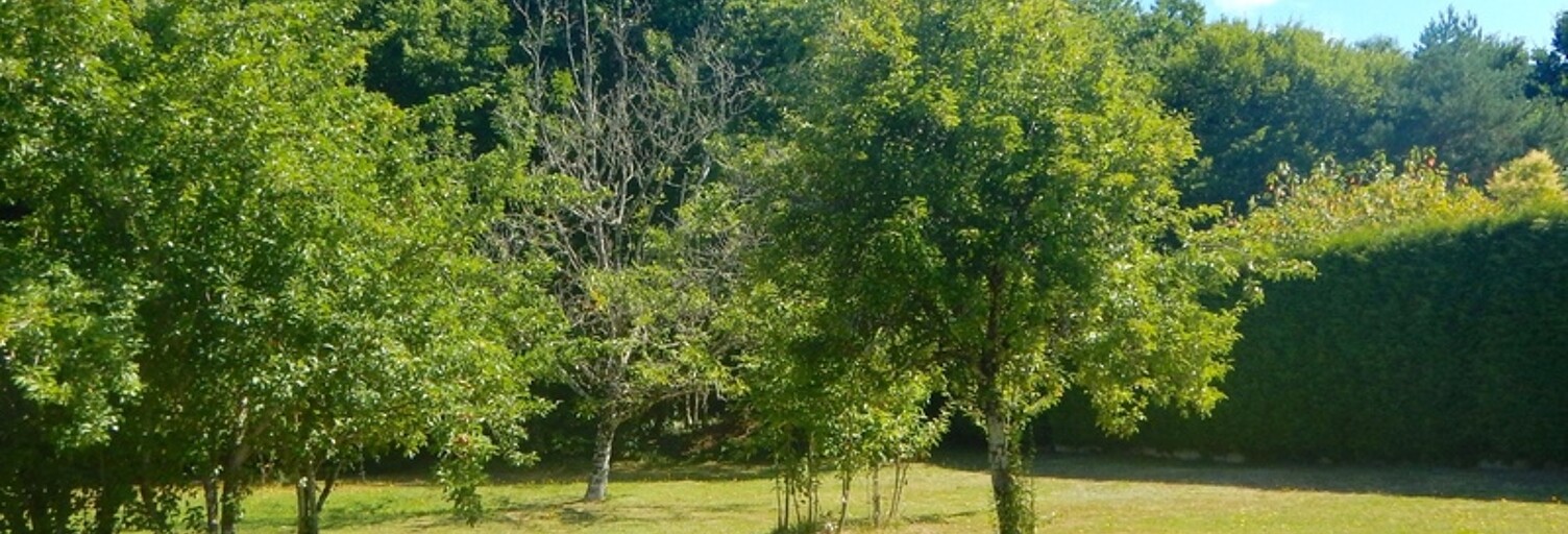 Terrain  1528 m² à vendre à Trélissac (24750)