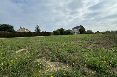 Terrain  45000 €