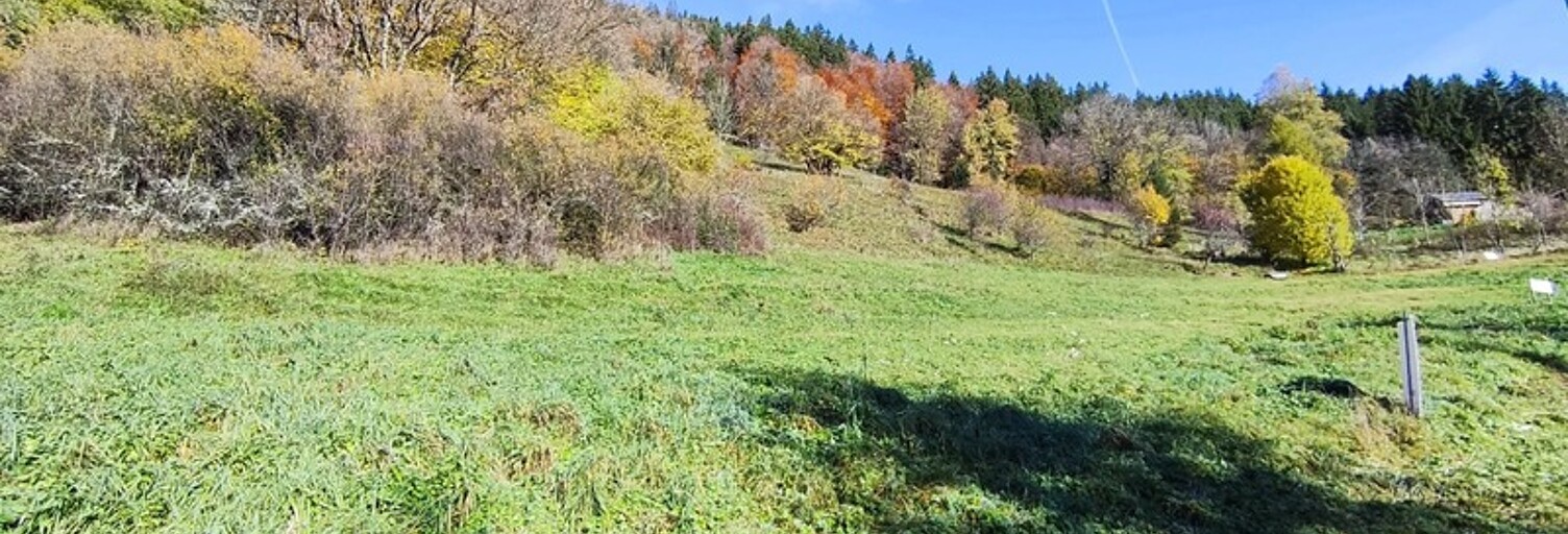 Terrain  738 m² à vendre à Morzine (74110)