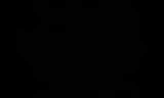 Appartement 1 Pièce 10 m² à louer à Paris 15 (75015)