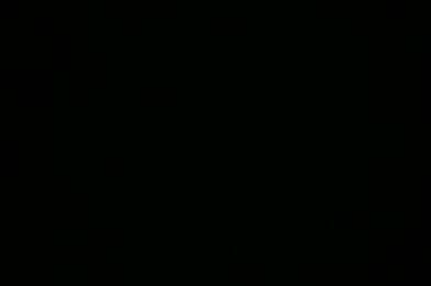 Appartement 1 pièces 670 €