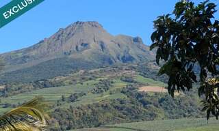 Appartement 4 Pièces 75 m² à vendre à Saint-Pierre (97250)