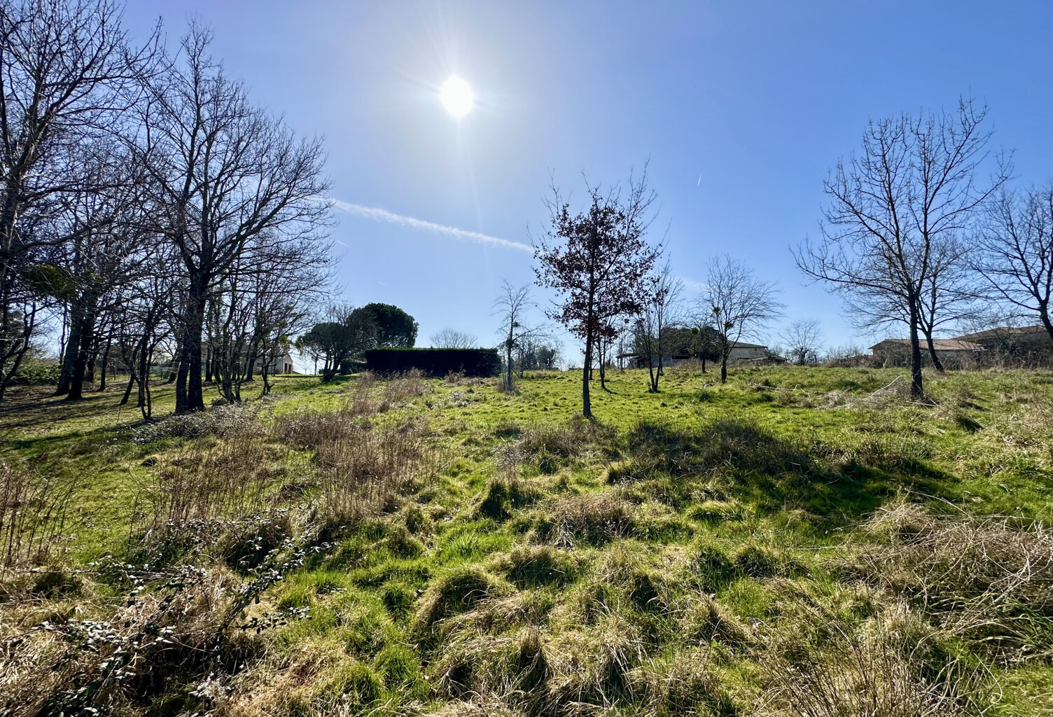 TERRAIN 4792 m2 — photo 1