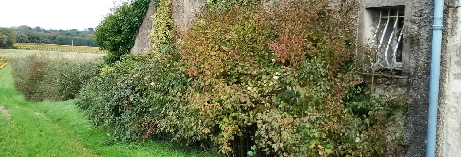 Maison 1 Pièce 140 m² à vendre à Berson (33390)