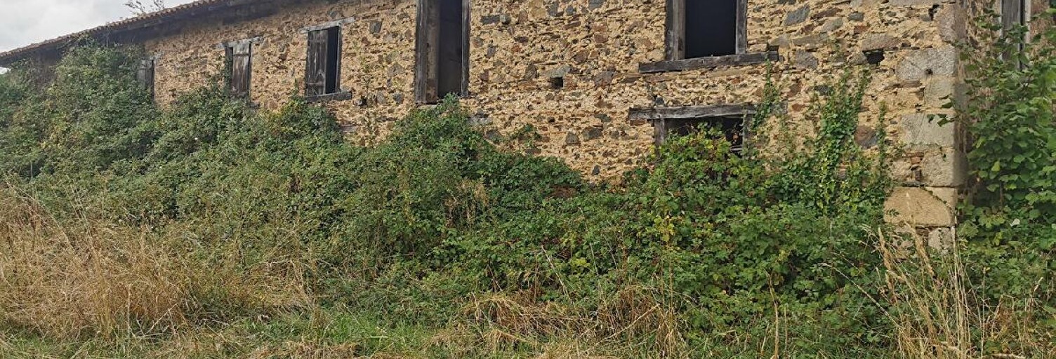 Maison 7 Pièces 270 m² à vendre à Meilhac (87800)