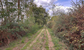 Terrain  56217 m² à vendre à Chitray (36800)