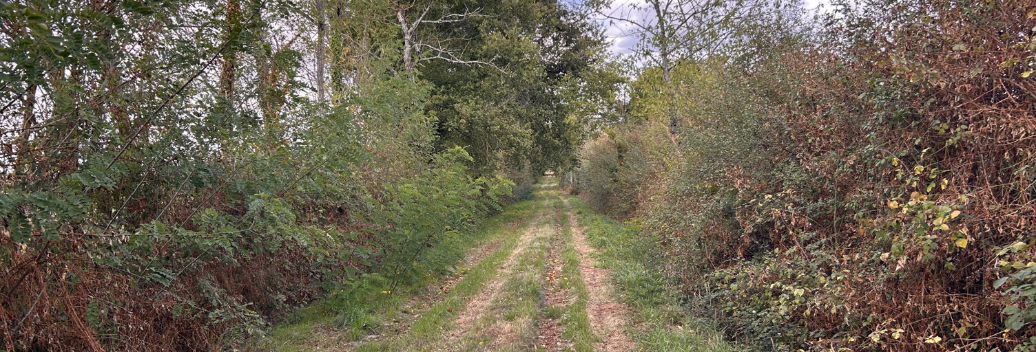 Terrain  56217 m² à vendre à Chitray (36800)