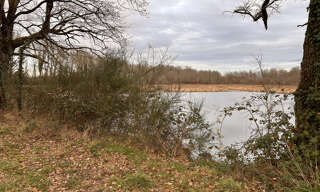 Terrain  56217 m² à vendre à Chitray (36800)