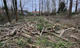 Terrain  501 m² à vendre à Larchant (77760)