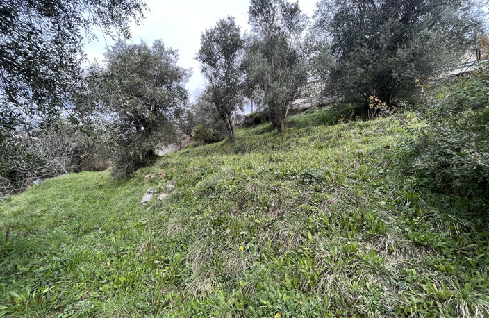 BEAU TERRAIN IDEAL PROJET INVESTISSEMENT — photo 5