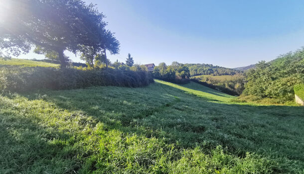 Terrain  à vendre Conques-en-Rouergue 12320