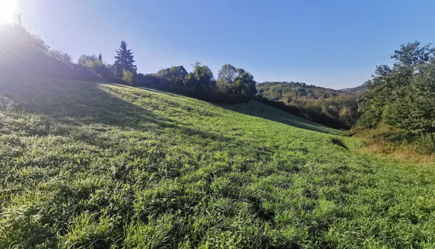 Terrain  à vendre Conques-en-Rouergue 12320