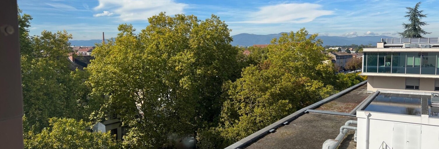 Commerce 5 Pièces 109 m² à louer à Mulhouse (68200)