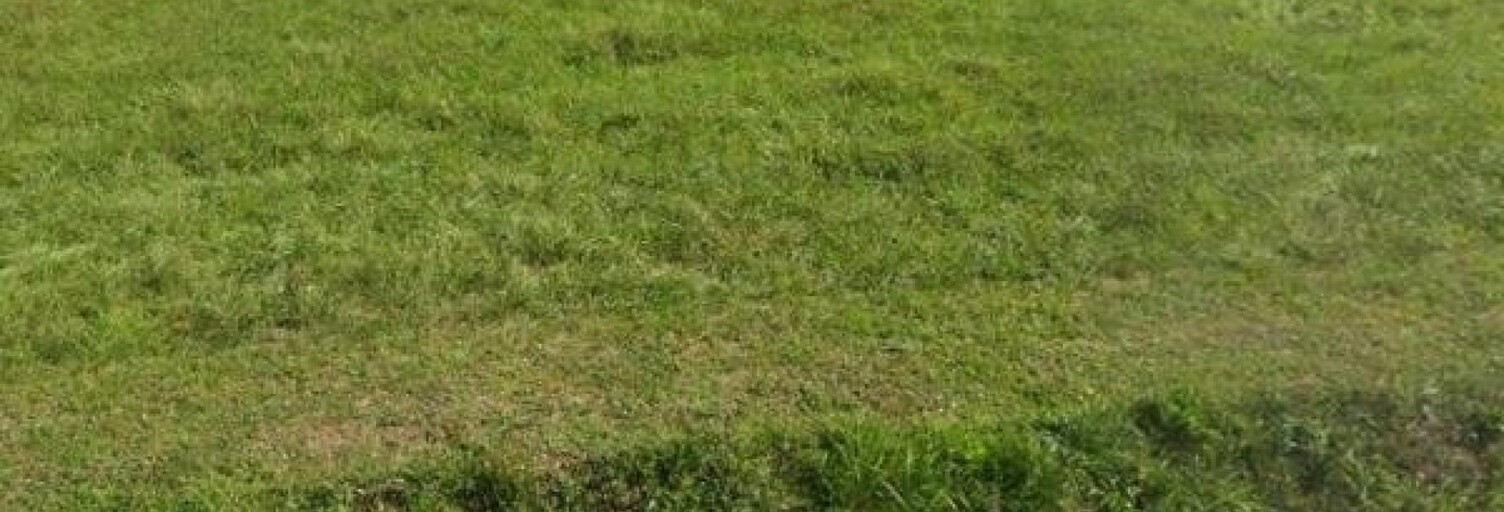 Terrain  2215 m² à vendre à Cléron (25330)