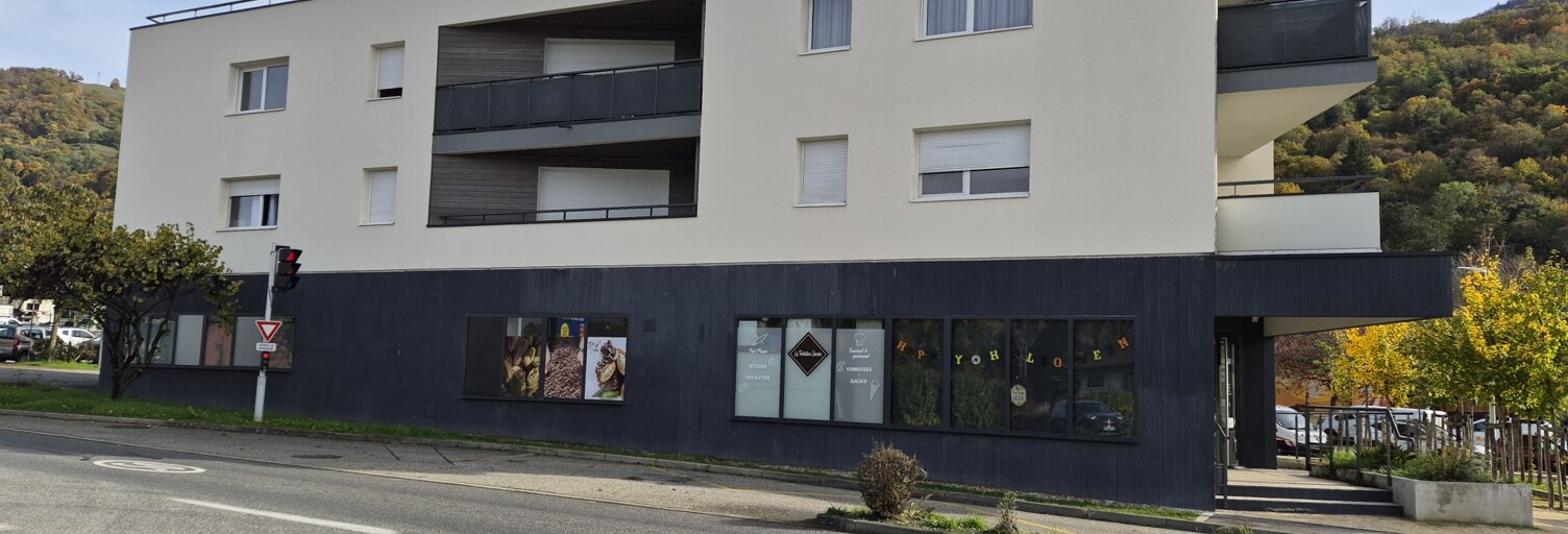 Appartement 4 Pièces 72 m² à vendre à Murianette (38420)