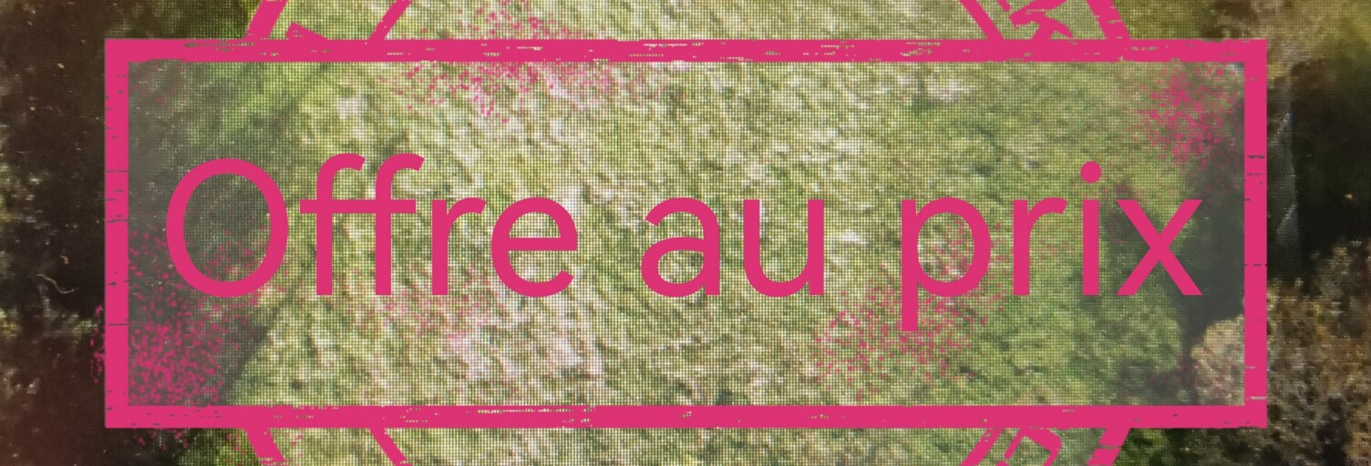 Terrain  1000 m² à vendre à Chazelles (16380)