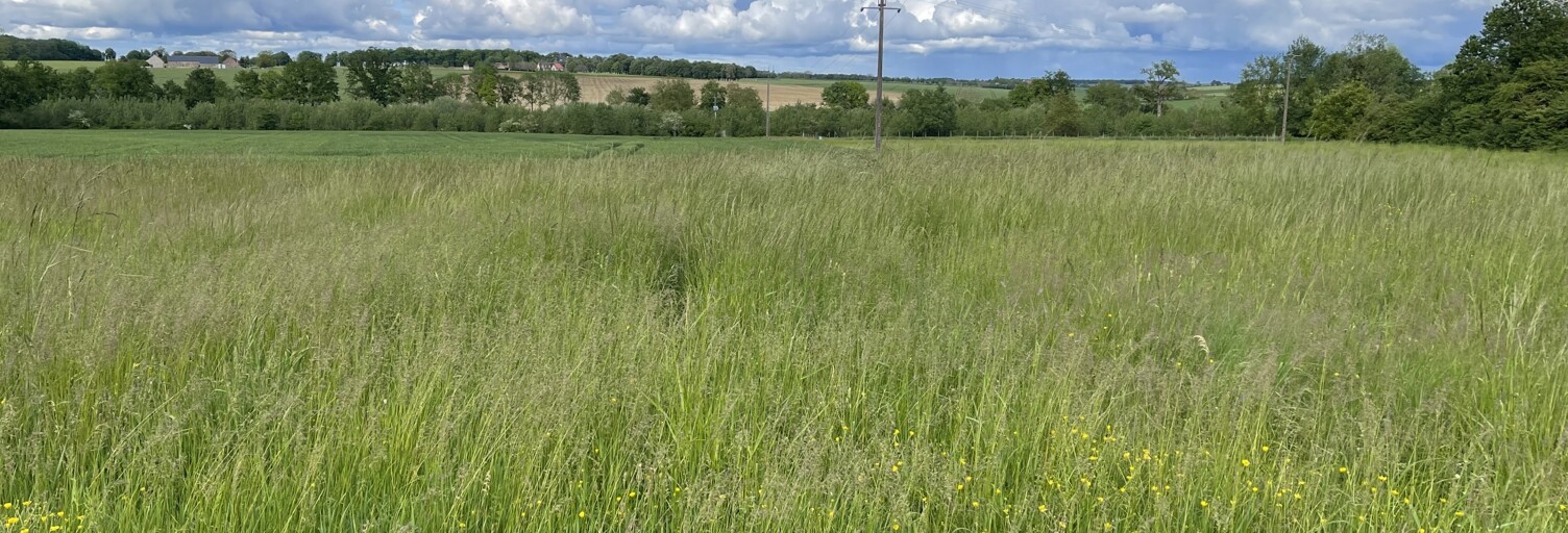 Terrain  1200 m² à vendre à Saint-Lactencin (36500)