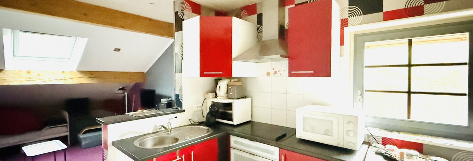 Appartement 1 Pièce 26 m² à vendre à La Bresse (88250)