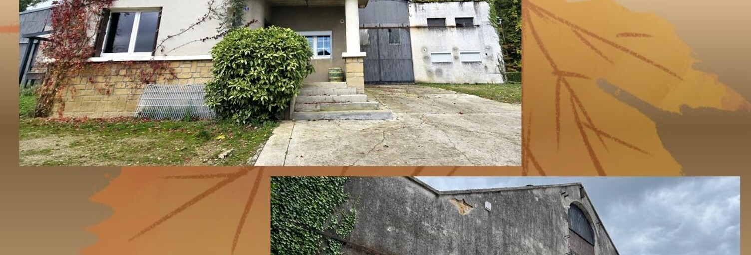 Immeuble  1000 m² à vendre à Wadelincourt (08200)