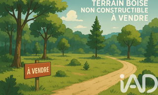 Terrain  5000 m² à vendre à Villeneuve-sur-Bellot (77510)