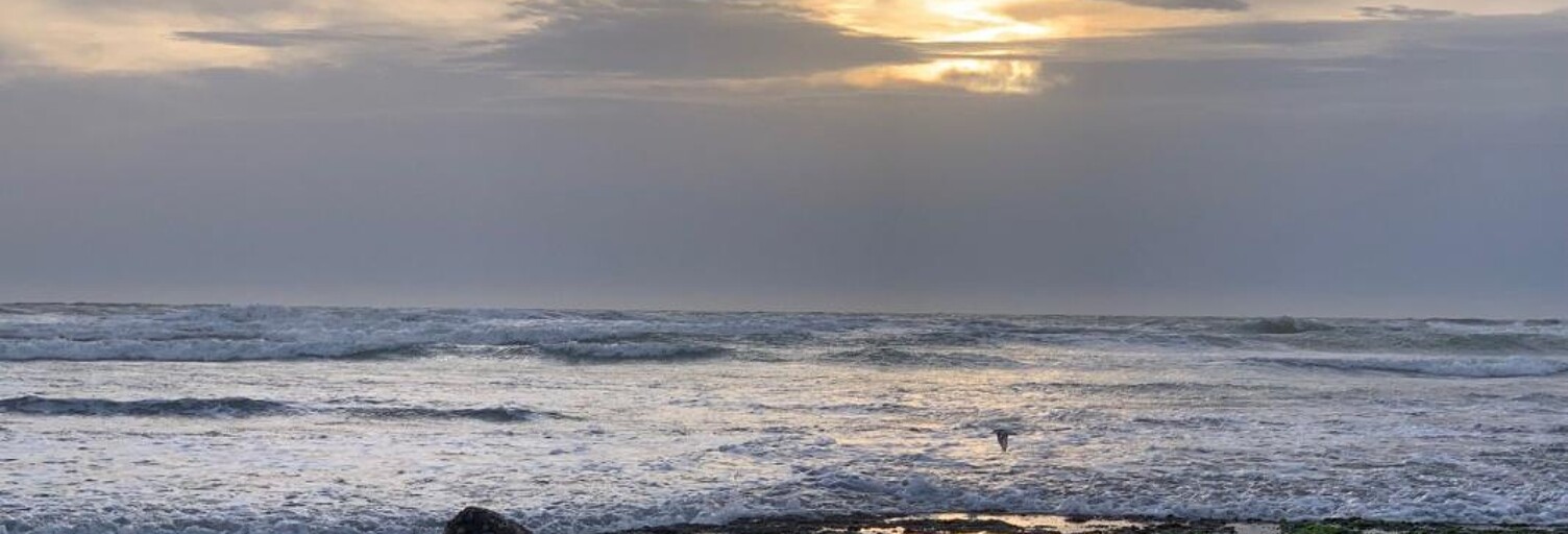 Maison 10 Pièces 264 m² à vendre à Rivedoux-Plage (17940)